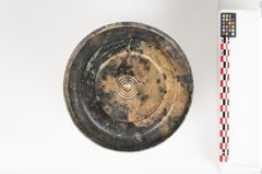 Foto von Bronzerippenziste (NHMW-PRAE-026411)